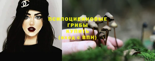 прущая мука Абинск