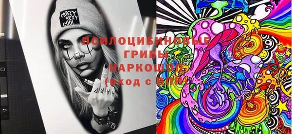 дживик Абаза