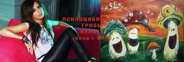 дживик Абаза