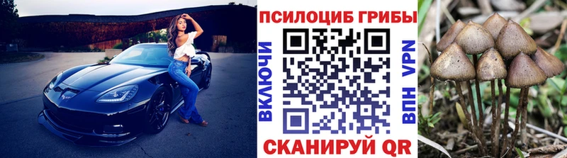 купить сайты Оренбург Псилоцибиновые грибы MAGIC MUSHROOMS